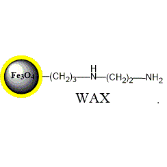 弱阴离子交换磁珠 (PuriMag Si-WAX)|代替Dynabeads® WAX|weak anion exchange