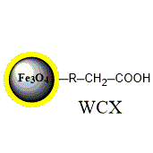 弱阳离子交换磁珠 (PuriMag Si-WCX)|代替Dynabeads® WCX|weak cation exchange